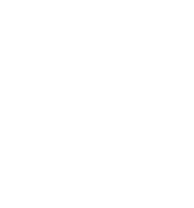 دبلومة الأيقونة