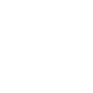 مواد الأيقونات