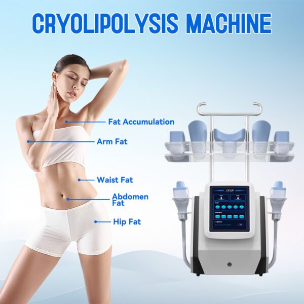 S10 Criolipolisis Portatil Slimming Machine Cryotherapy Criolipolisis Machine with Two Handles - Bild 2